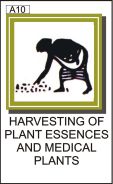 HARVESTING OF PLANT ESSENCES AND MEDICAL PLANTS