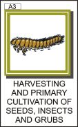 HARVESTING AND PRIMARY CULTIVATION OF SEEDS, INSECTS AND GRUBS