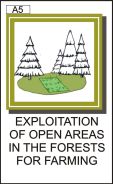 EXPLOTATION OF OPEN AREAS IN THE FORESTS FOR FARMING